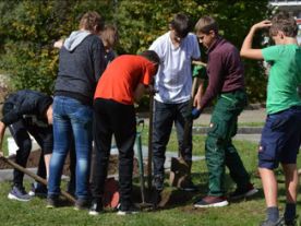 Realschüler pflanzen neuen Schulbaum